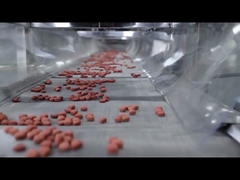 Full Automatic CE Certificate Dog Food Extruder Pet Food Processing Line