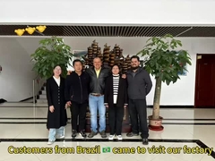 Automatic pet food and cat food production line，the client from Brazil