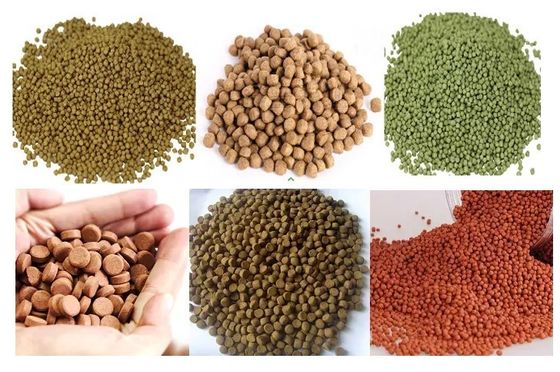 Saibainuo Floating Fish Feed Extruder processing line