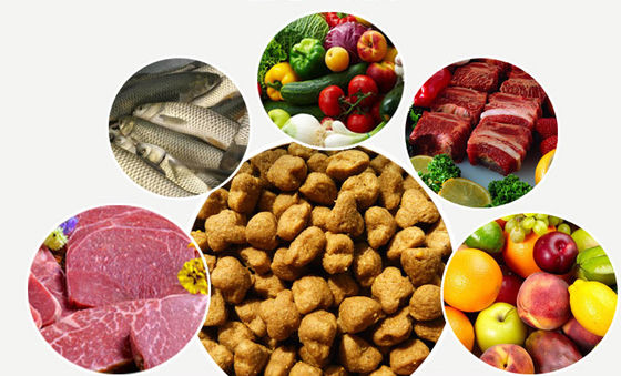 SBN Fully Automatic Dog's Favorite Food Production Machine