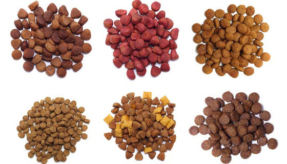 Double Screw Dry Kibble Dog Food Extruder Machine Fully Automatic