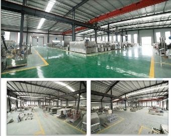 500kg/H Twin Screw Fish Pellet Extruder Floating Fish Feed Machine