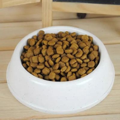 Siemens Inverter 100kg/hr Dog Food Pellet Machine