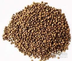 SS201 Fish Feed Extruder Floating Fish Pellet Making Machine