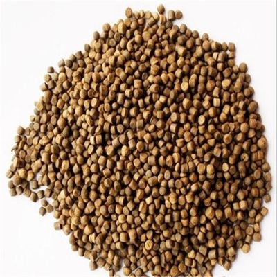 Automatic floating fish feed pellet processing mahcinery