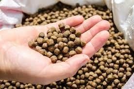 Automatic floating fish feed pellet processing mahcinery