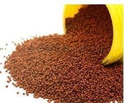 Automatic floating fish feed pellet processing mahcinery