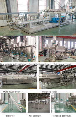 Ss 304 Dual Screw Pet Food Processing Line Automatic